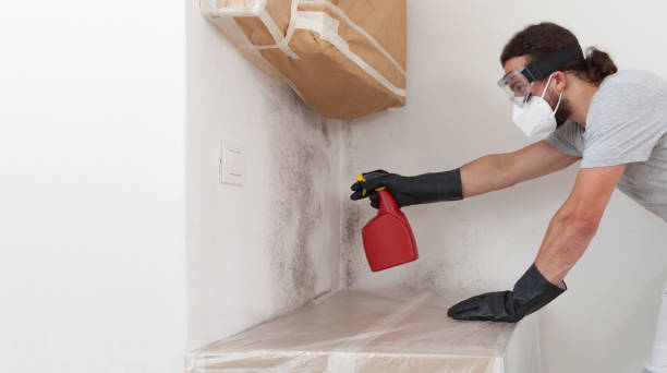 Professional Basement Mold Remediation technician working in Orrtanna, PA